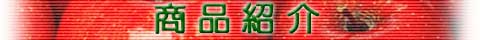 くだもの紹介