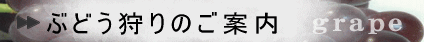 Ԃǂ