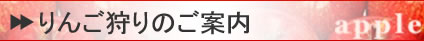 񂲎