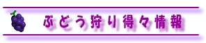Ԃǂ蓾X