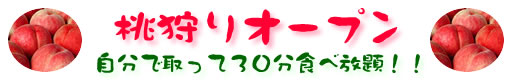 I[v@Ŏ30Hו