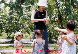 ̓̂悤ł