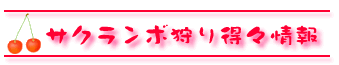 TN{蓾X