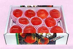 川中島白桃