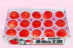 ゆうぞら